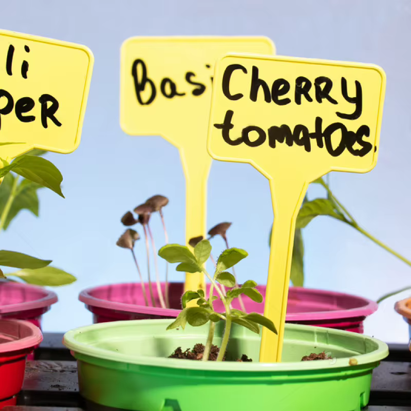Étiquettes pour plantes en plastique en forme de T