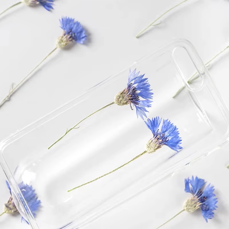 Fleurs de maïs bleues naturelles séchées PMurcia avec tournesols