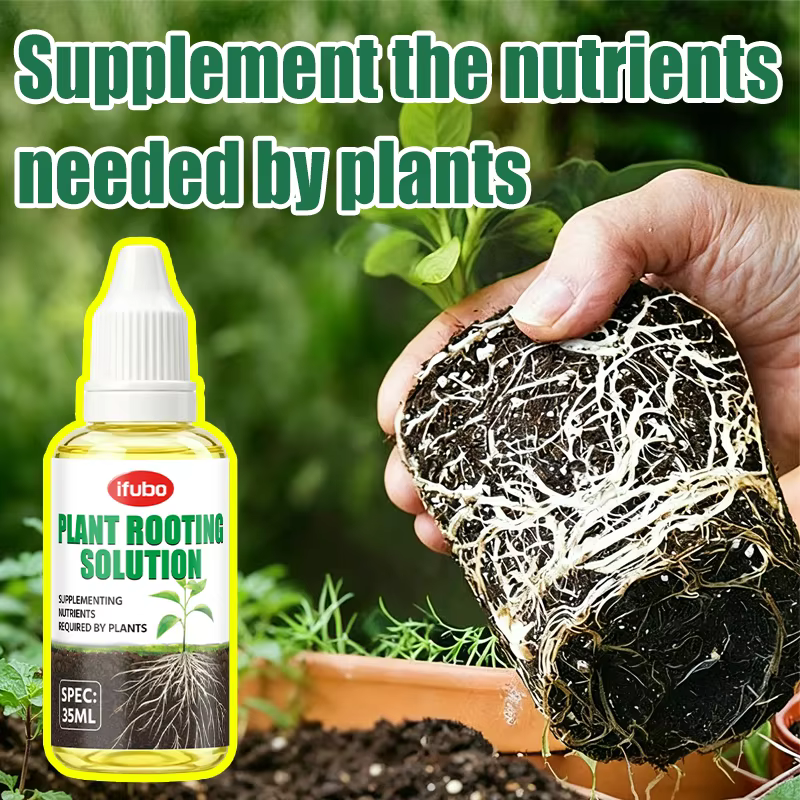 Solution nutritive pour l'enracinement des plantes