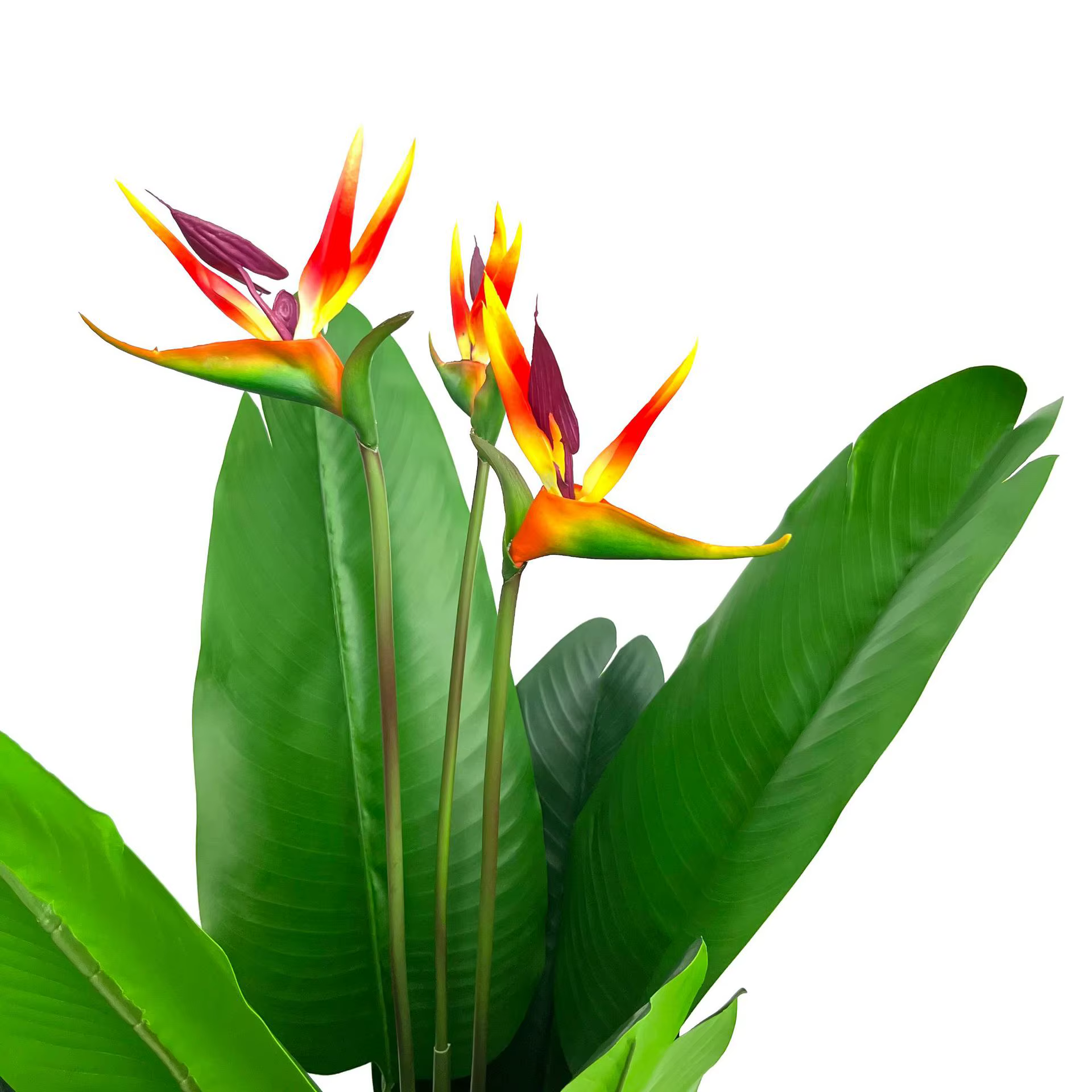 Plantes à feuilles artificielles