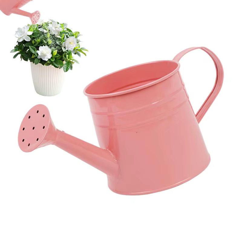 Petit arrosoir pour plantes d'intérieur