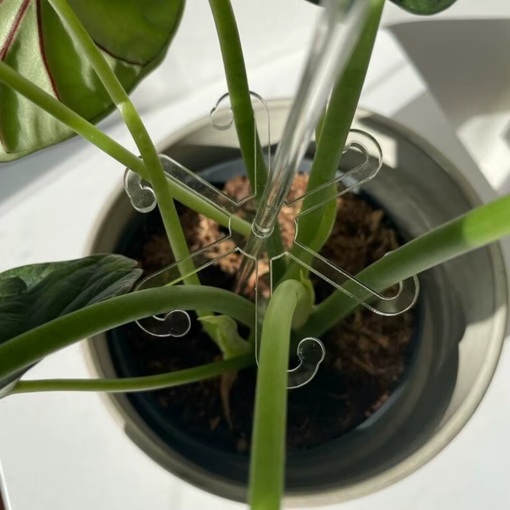 Le support de support pour plantes en acrylique fournit un support supplémentaire pour les plantes et les fleurs pour aider les cultiver