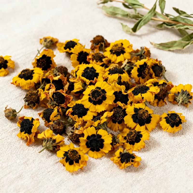 Boutons de chrysanthème de neige sèche naturelle | Fabrication de bougies à savon | Mélanger une décoration de maison