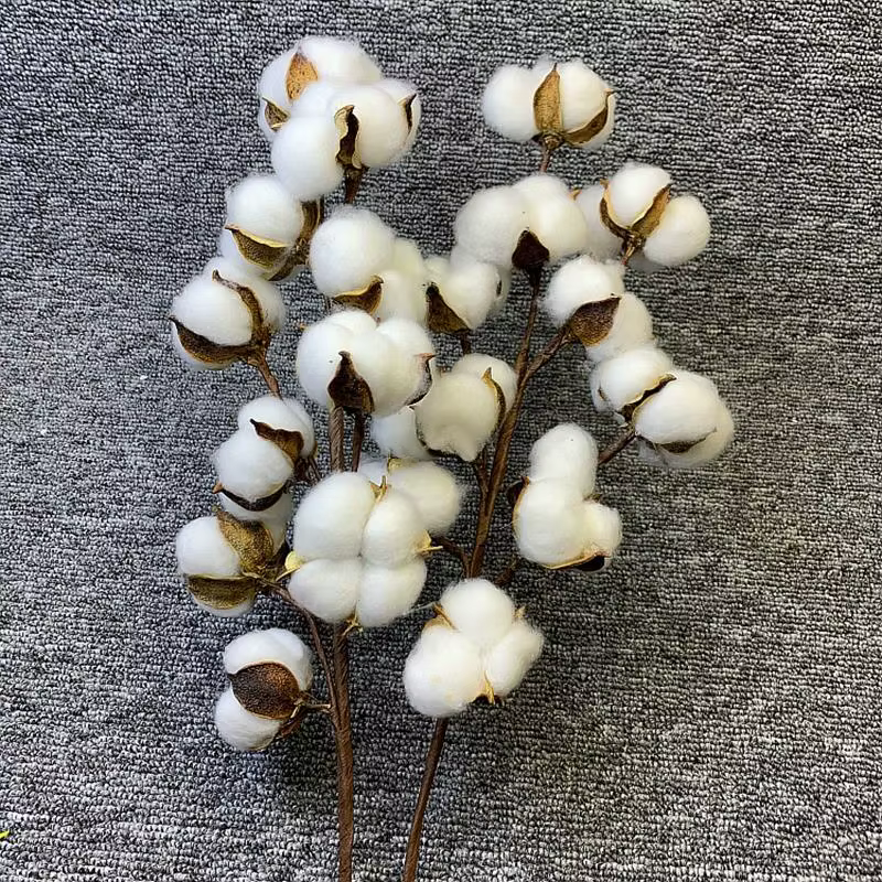 Fleurs artificielles en coton séché