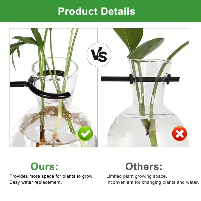 Vase en verre pour plantes hydroponiques