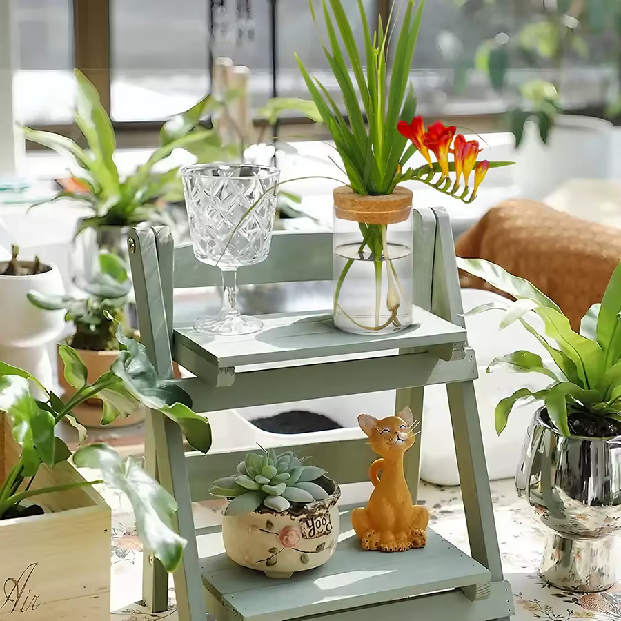 Station de propagation des plantes