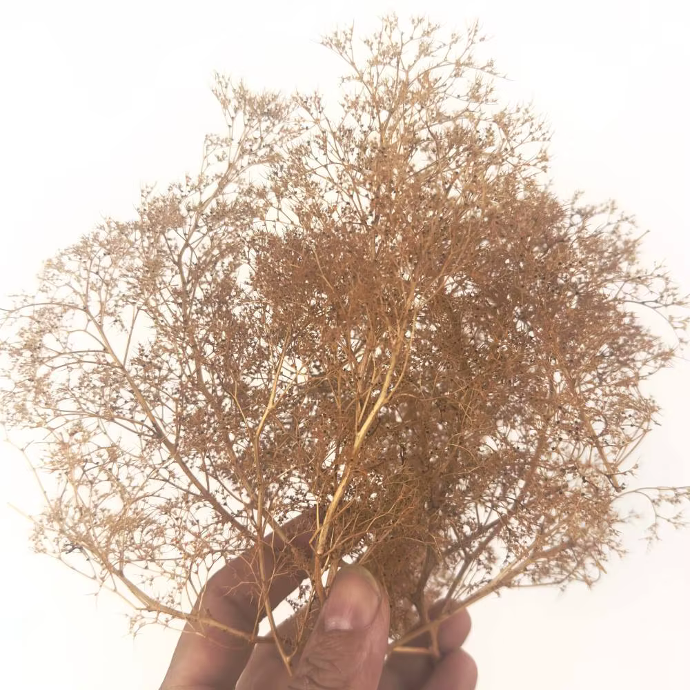 Diorama – arbres et buissons en mousse de mer