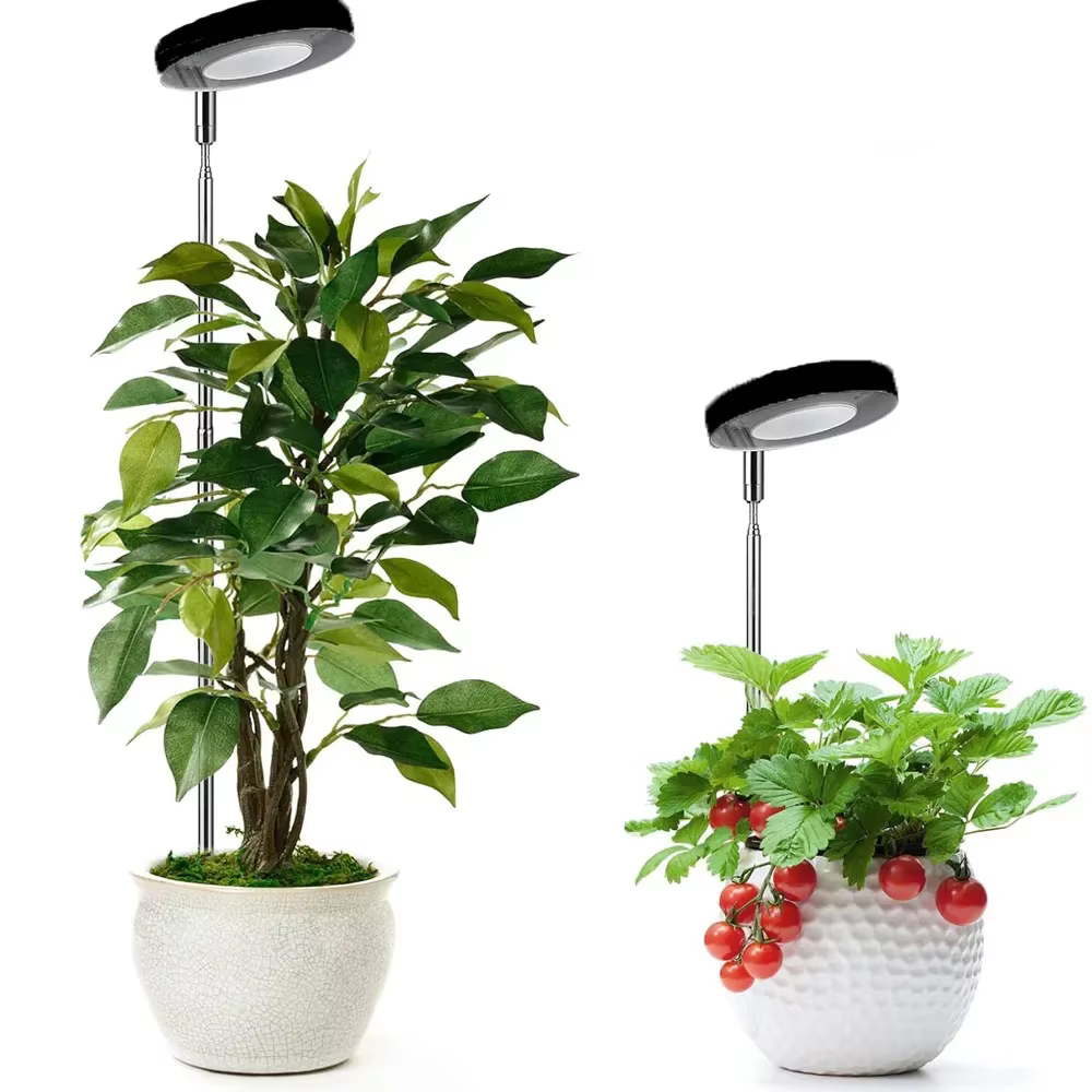 Lampe de culture LED à spectre complet pour plantes d'intérieur