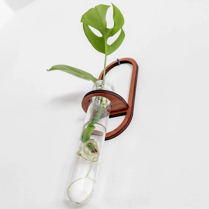 Vase mural pour plantes