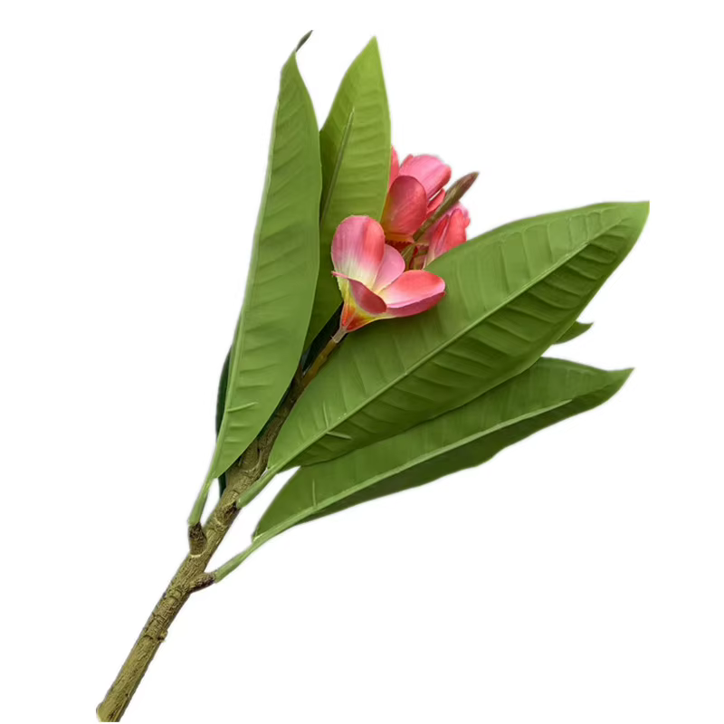 One Plumeria Rubra artificielle avec feuilles vertes au toucher réel