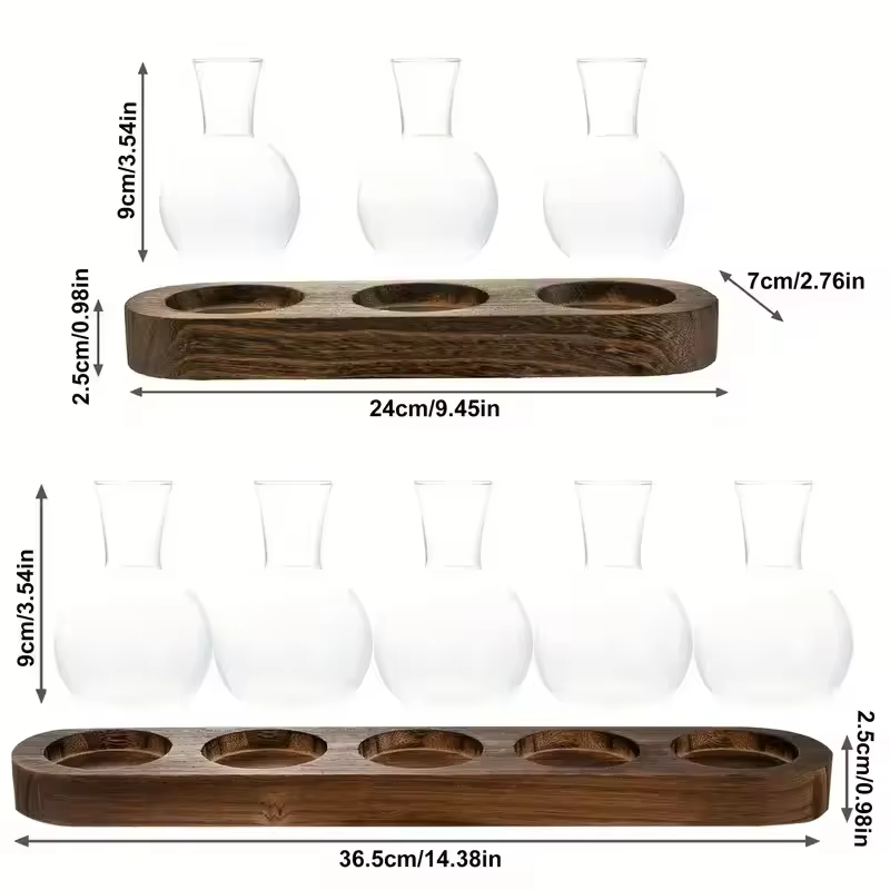 Terrarium en verre pour plantes avec plateau en bois – Pour la propagation hydroponique en intérieur
