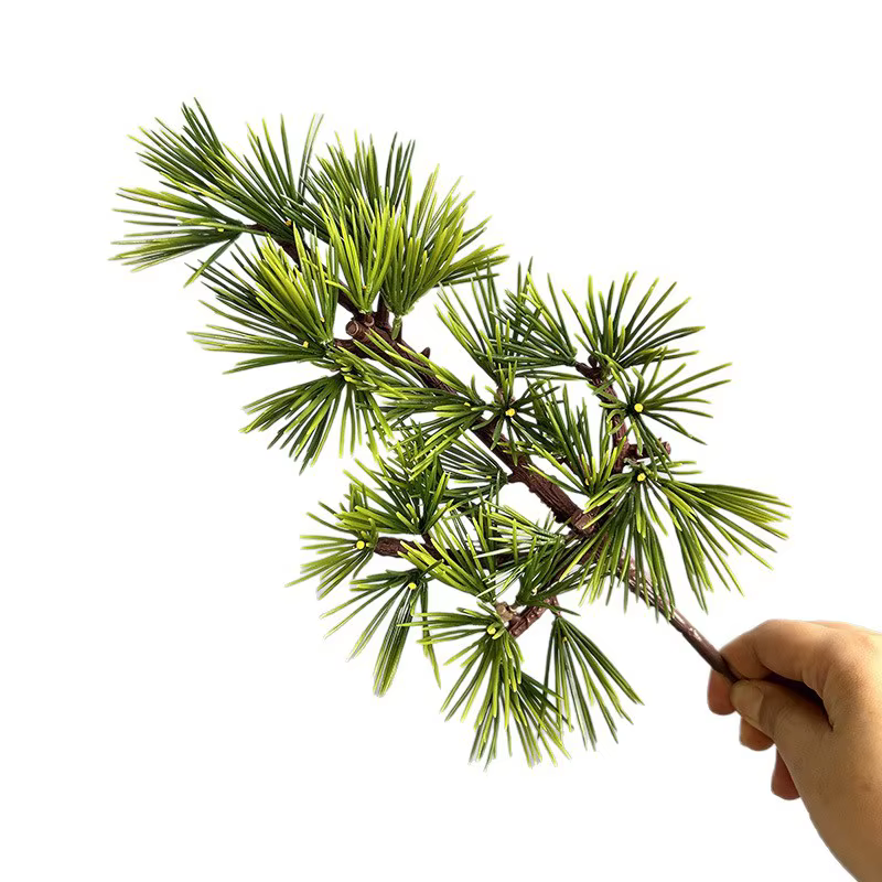 Simulation de branche de Podocarpus