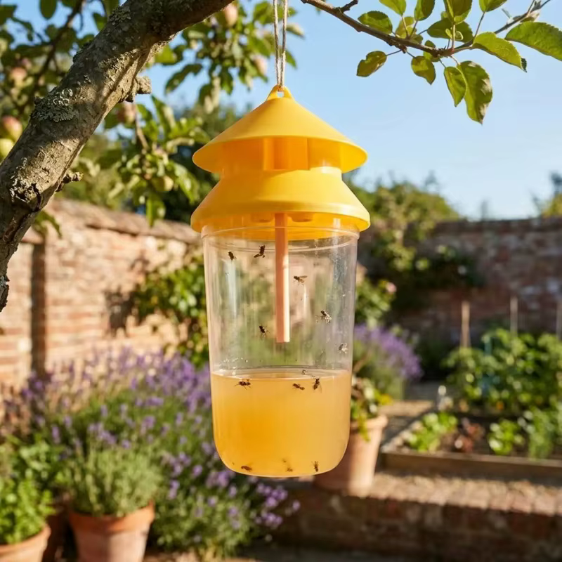 Pièges à mouches à fruits en bouteille avec attractifs liquides – Efficaces contre