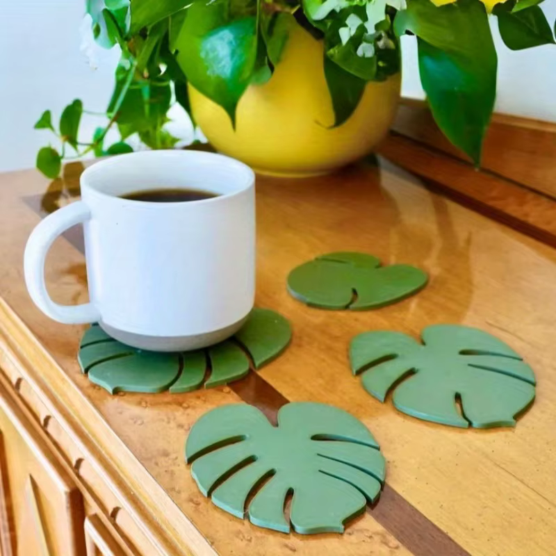 Monstera dessous de verre plante tortue bambou