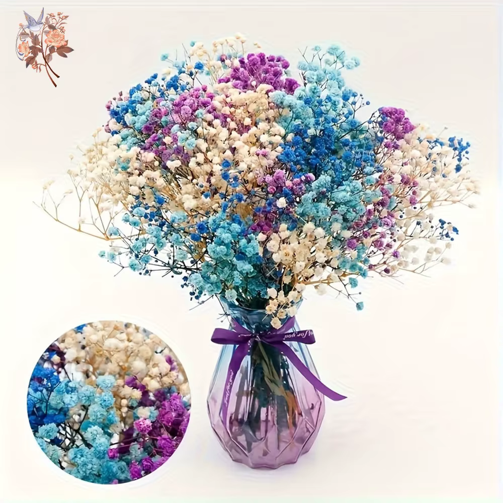 Bouquet de fleurs séchées naturelles colorées pour bébé