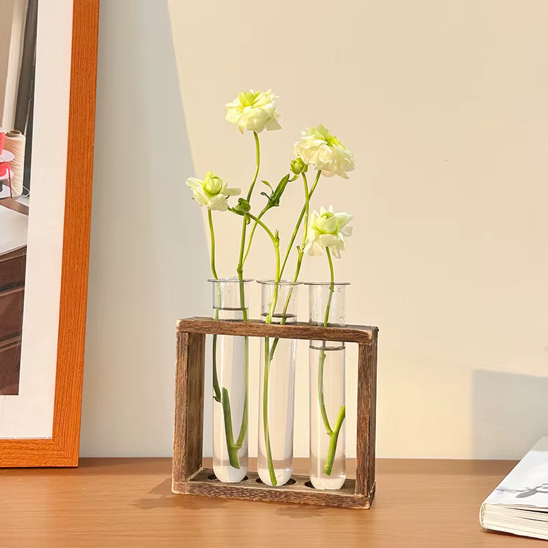 Vase hydroponique pour Tube à essai de plantes