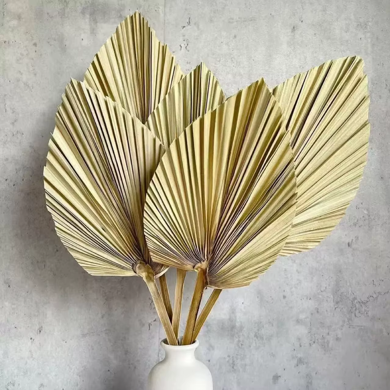 3 feuilles de palmier séchées naturelles