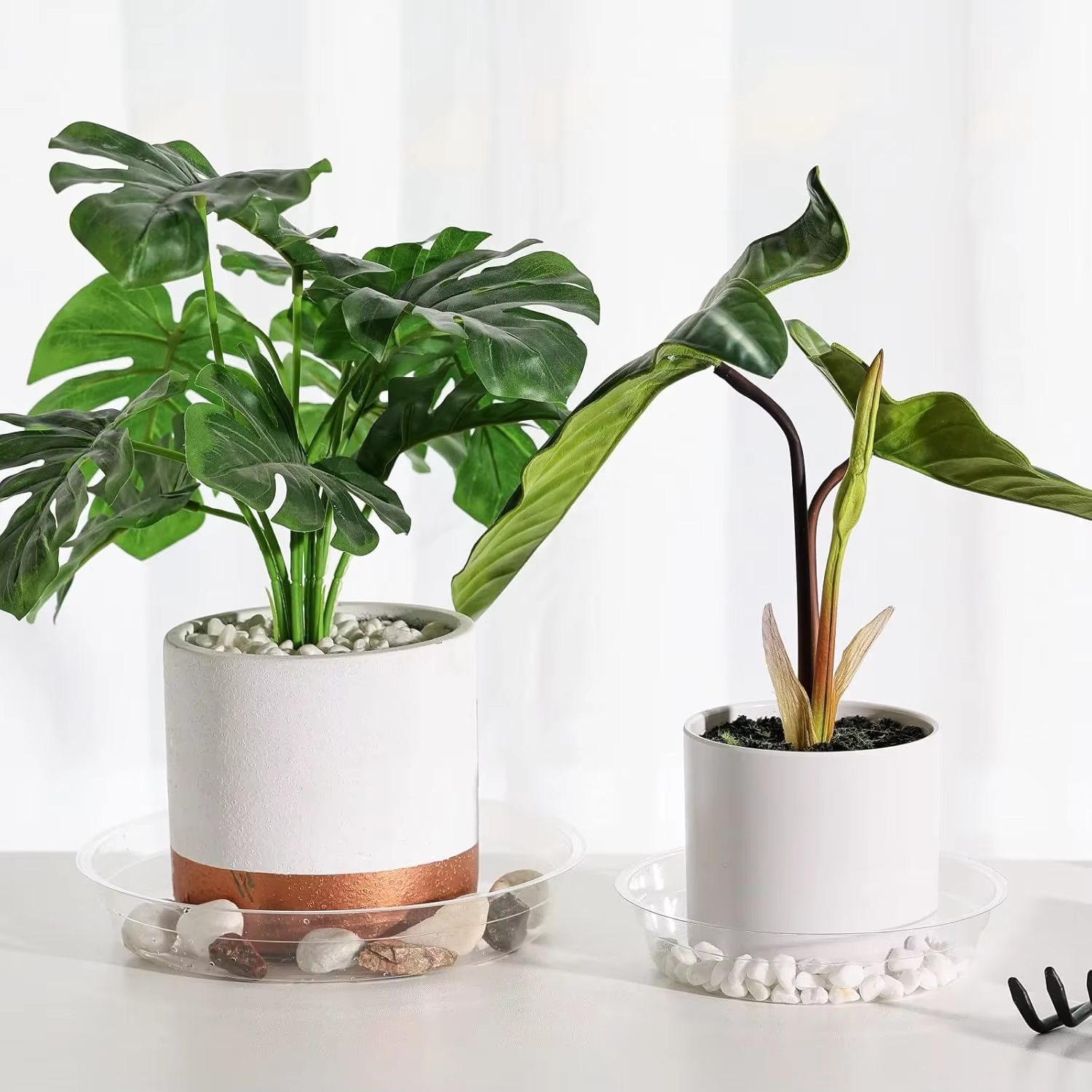 Plateaux d'égouttement de plantes en plastique