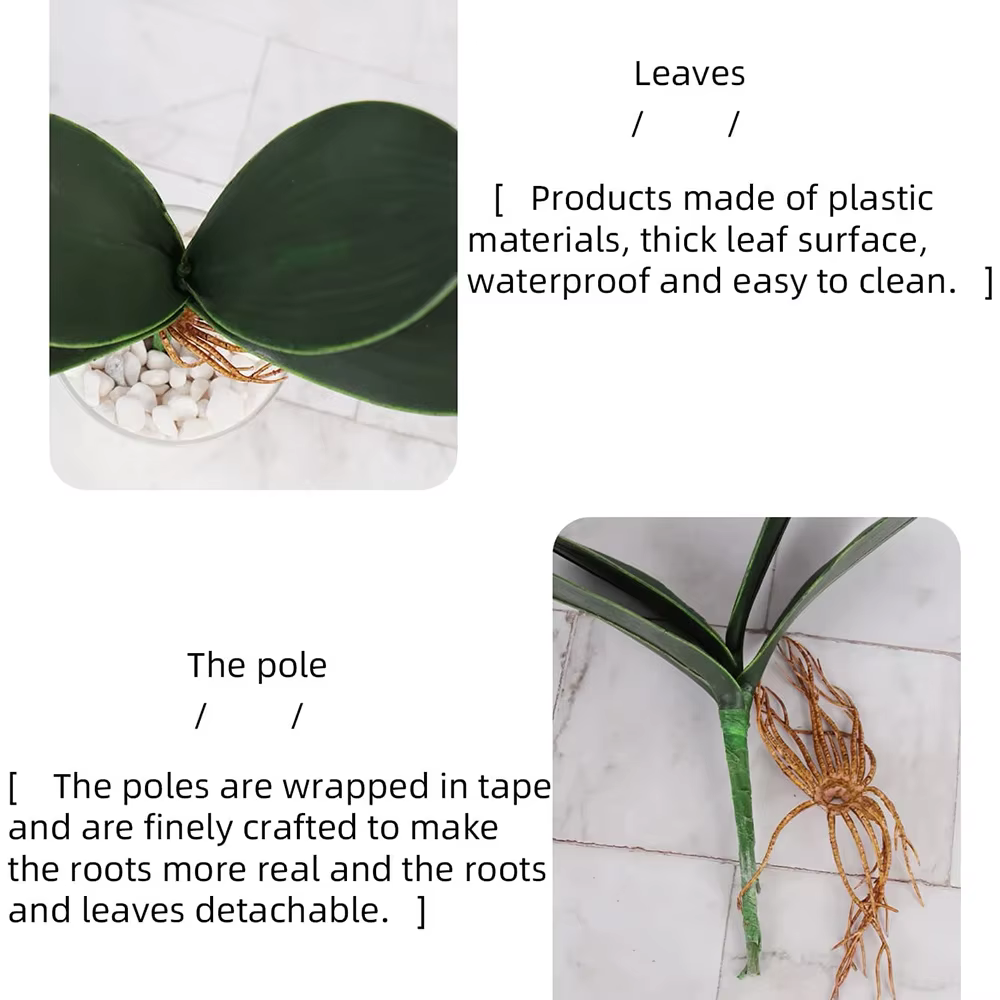 Simulation artificielle de feuilles d'orchidées de papillon