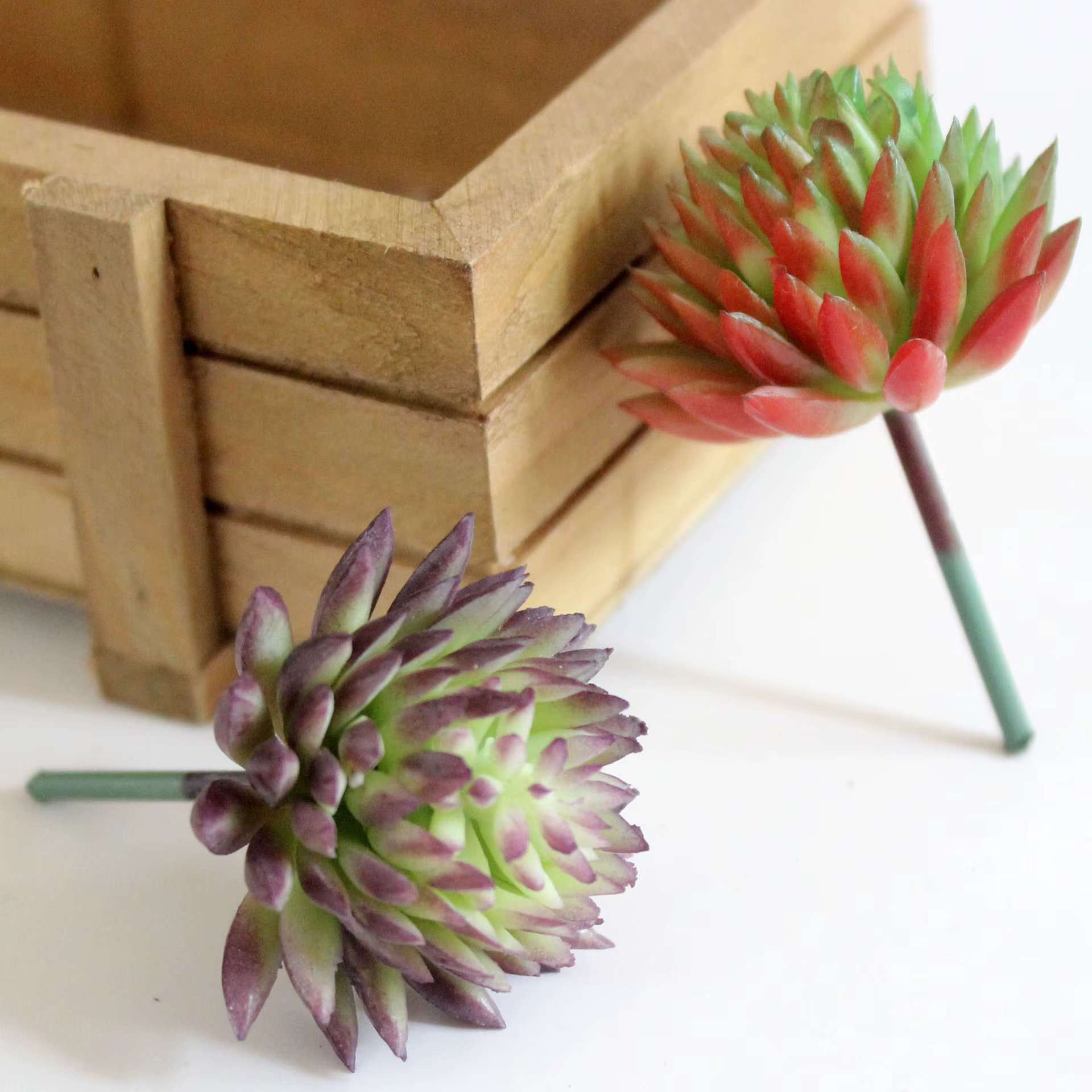 Mini plantes succulentes artificielles