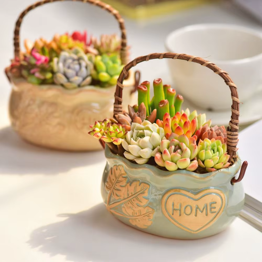 Jardinière succulente en céramique résistante à la Corrosion