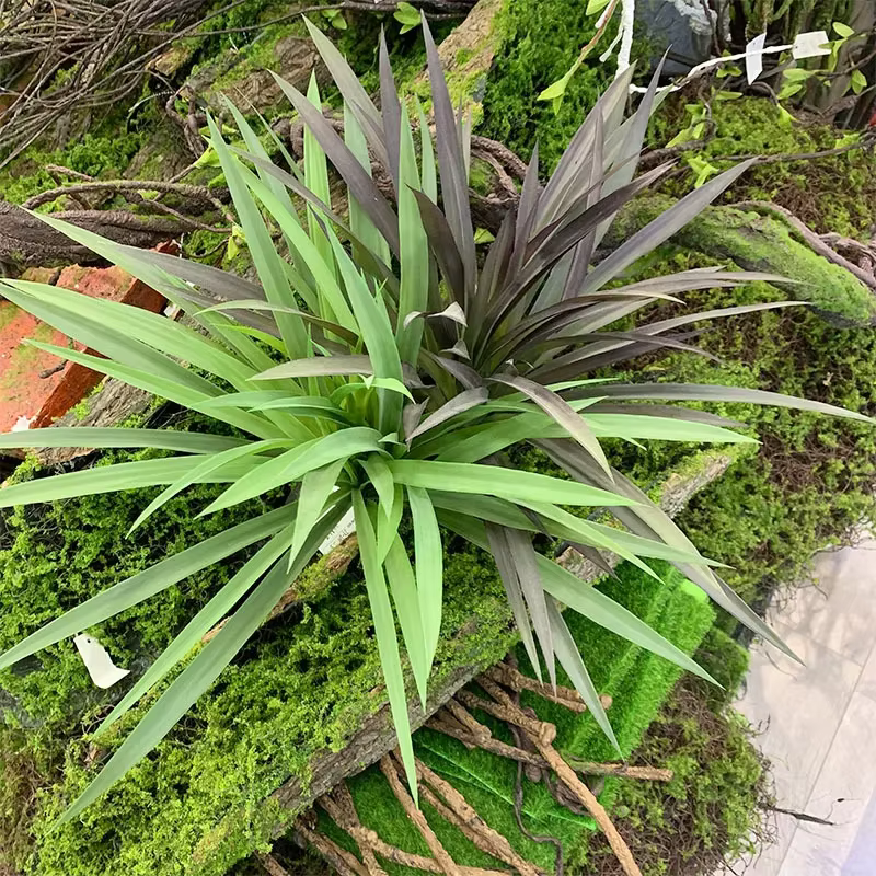 Plante artificielle en plastique pour la décoration murale de la maison