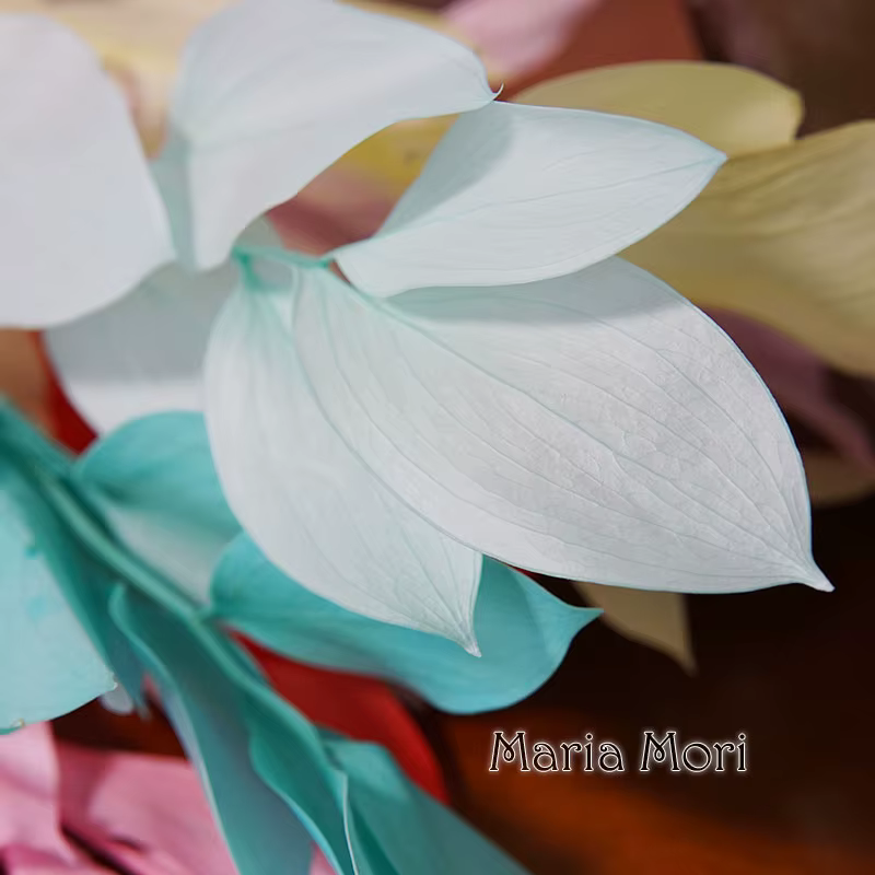 5 pièces/fleur conservée de blanchiment séché feuilles d'orange lys bambou pour arrangement floral fait à la main bureau maison décoration de mariage