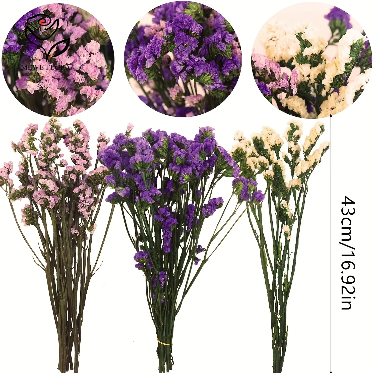 Fleurs éternelles séchées mélangées pour la décoration de la maison et de la chambre