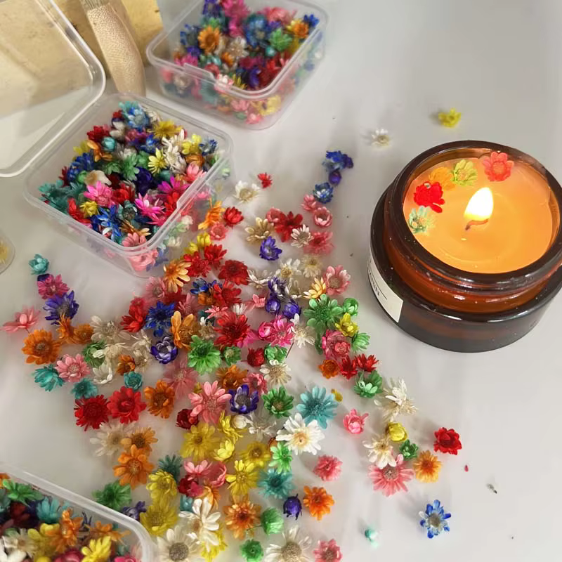 1 boîte de petites fleurs séchées colorées