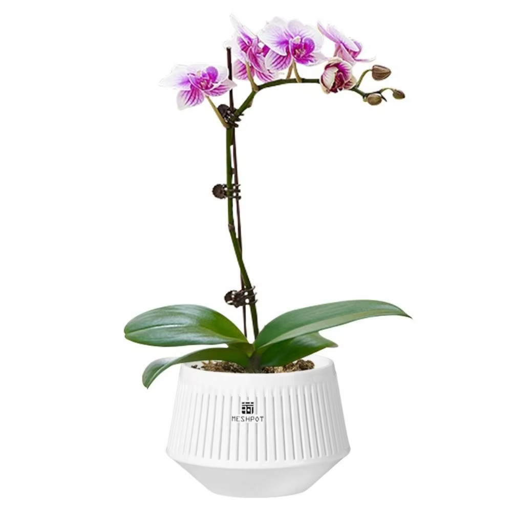 Pot de culture en maille à compartiments pour orchidées