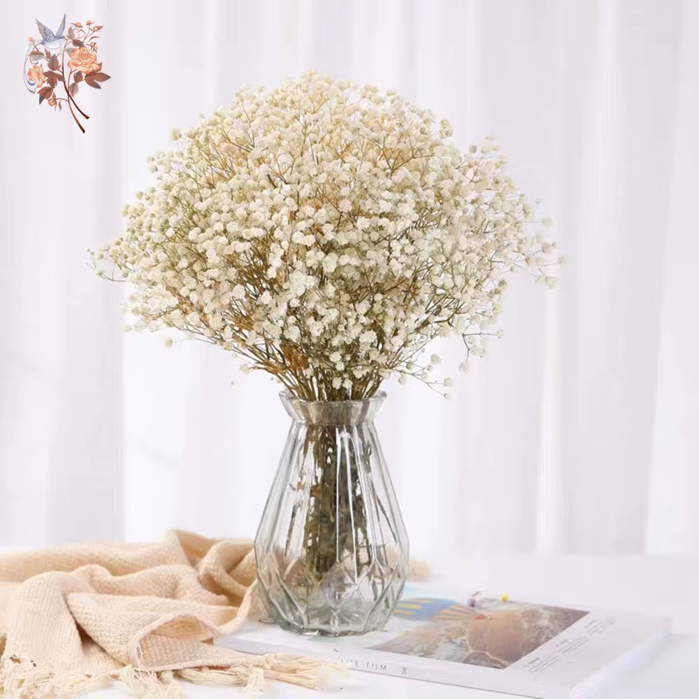 Bouquet de fleurs séchées pour bébé