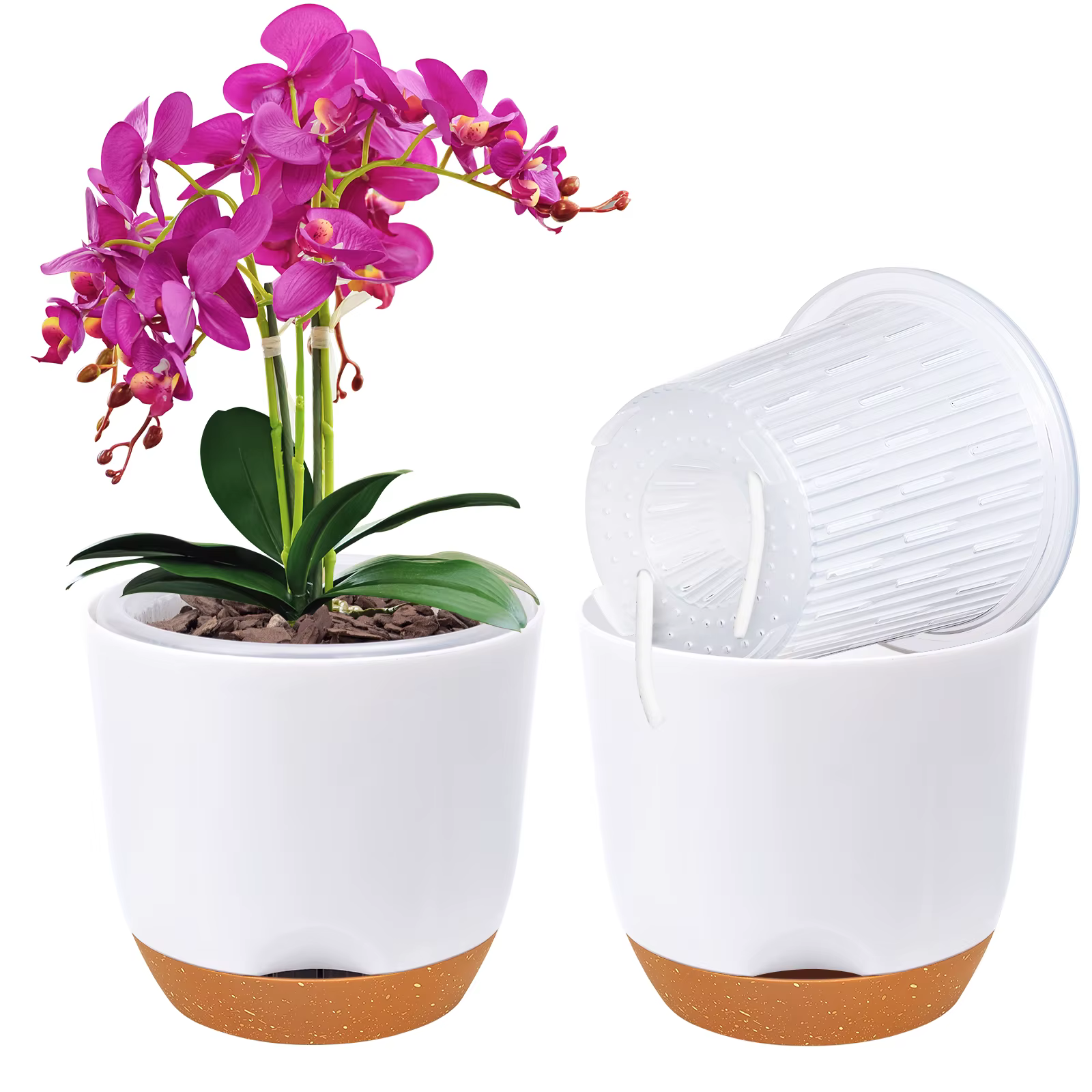 Pots d'orchidées avec trous pour repérage