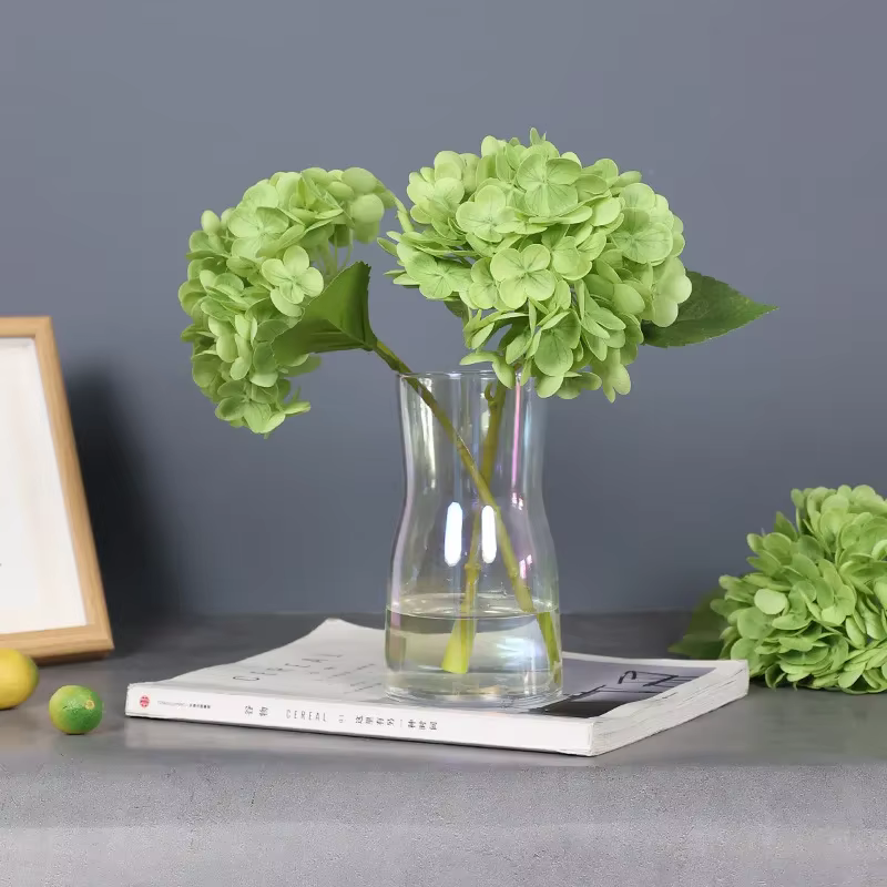 Film d'hortensia en Latex 3D