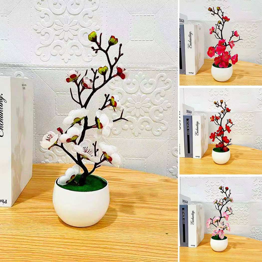 Plante en pot de fleur de prunier à usage intérieur et extérieur