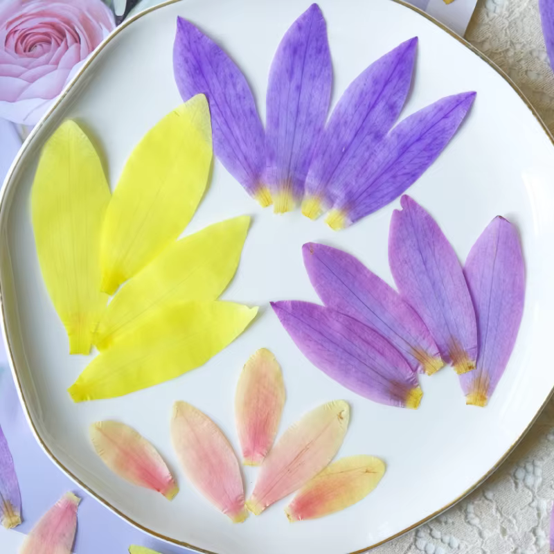Pétales de fleurs de nénuphar séchées