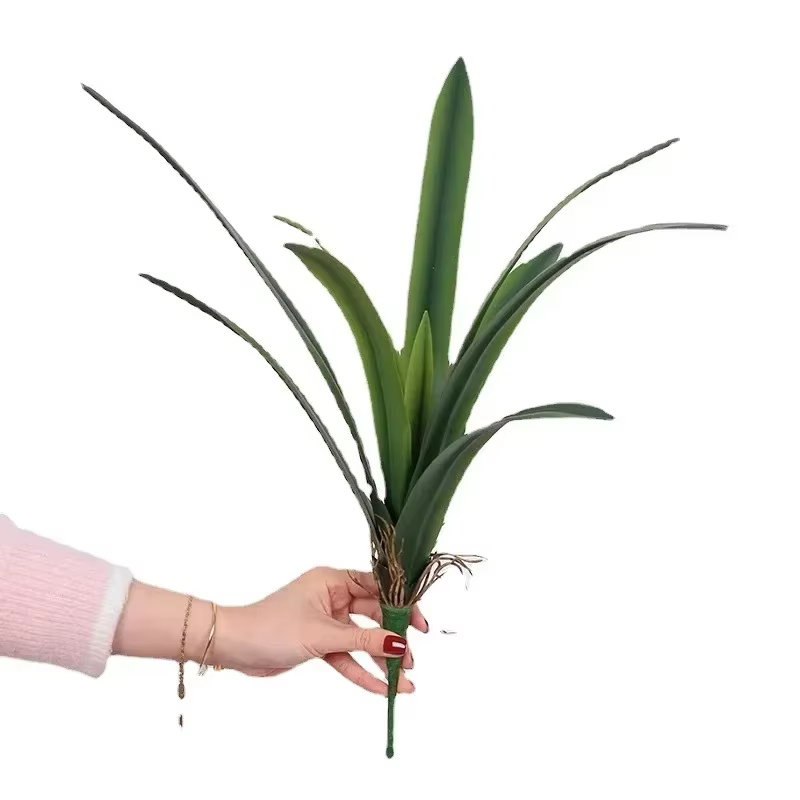 Feuilles de clivia artificielles décoratives d'étude
