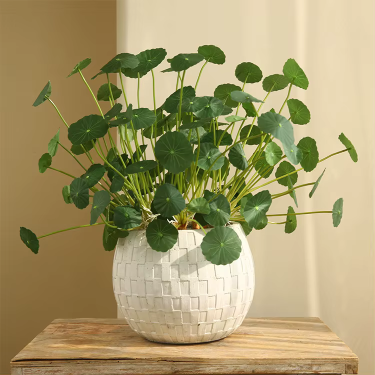 Plantes artificielles de lotus