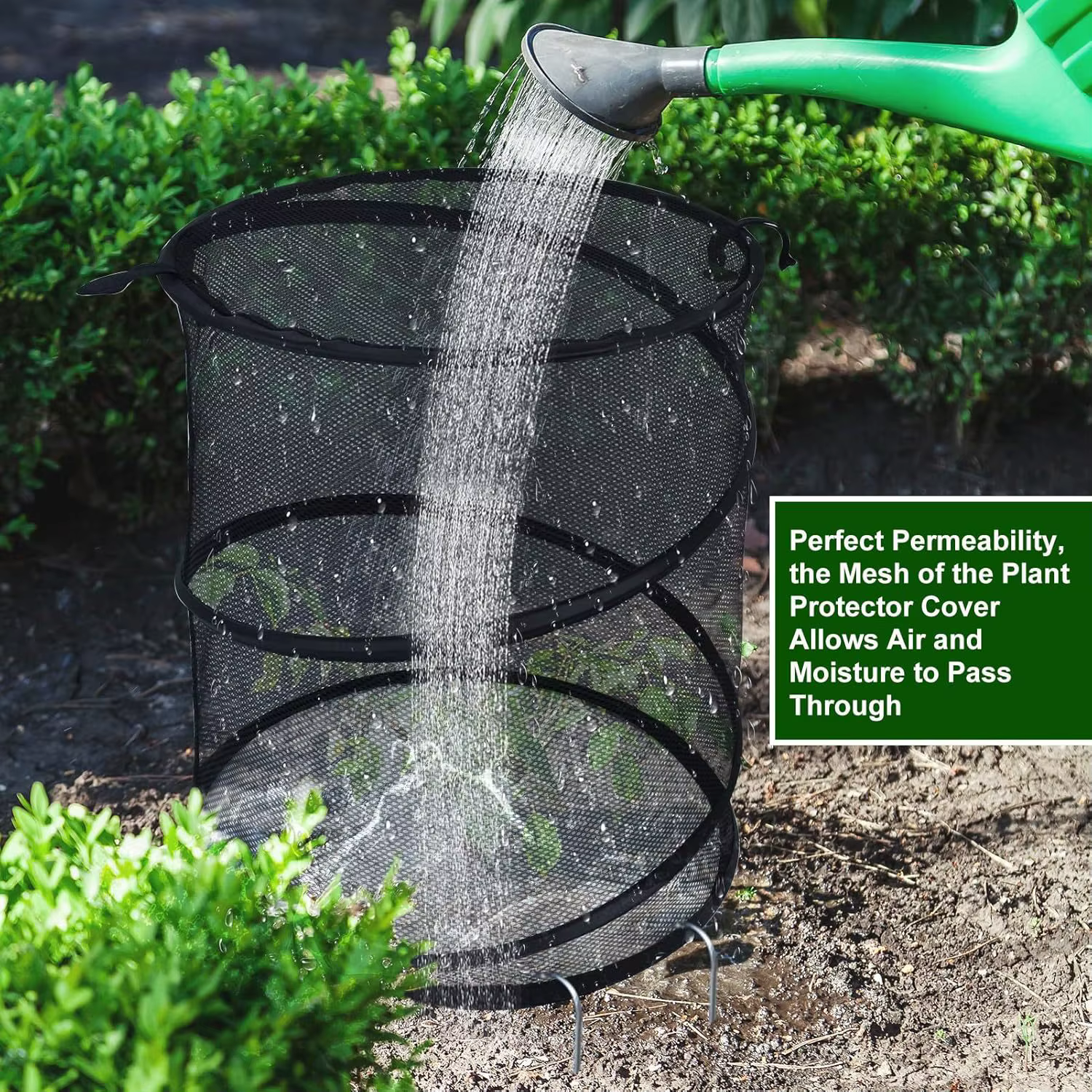 Filet de protection anti-insectes pour plantes