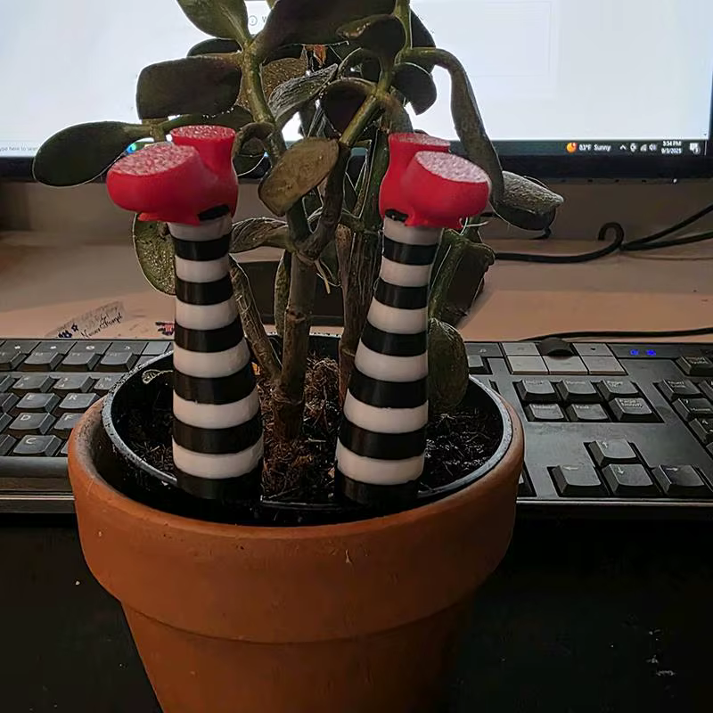 Mini Ensemble de Décoration de Jardinières