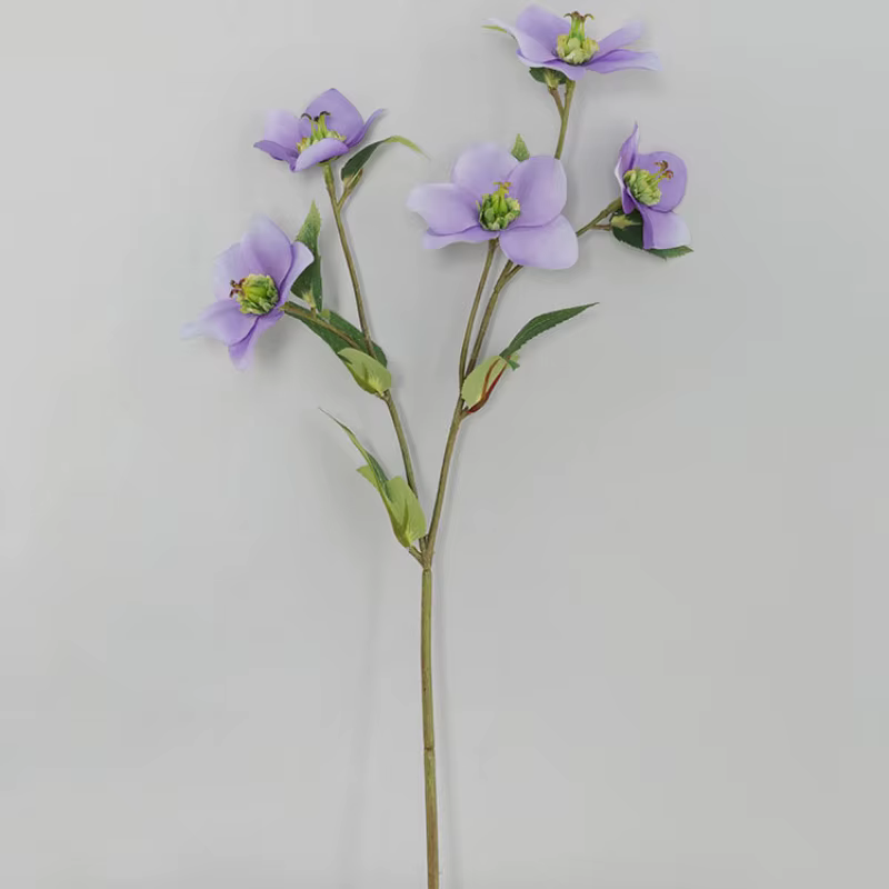 Branche de fleur de cloche de Noël