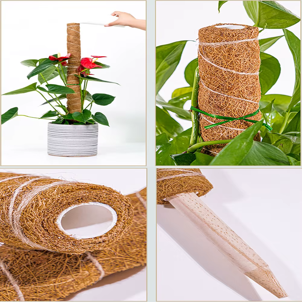 Poteau d'escalade pour plantes