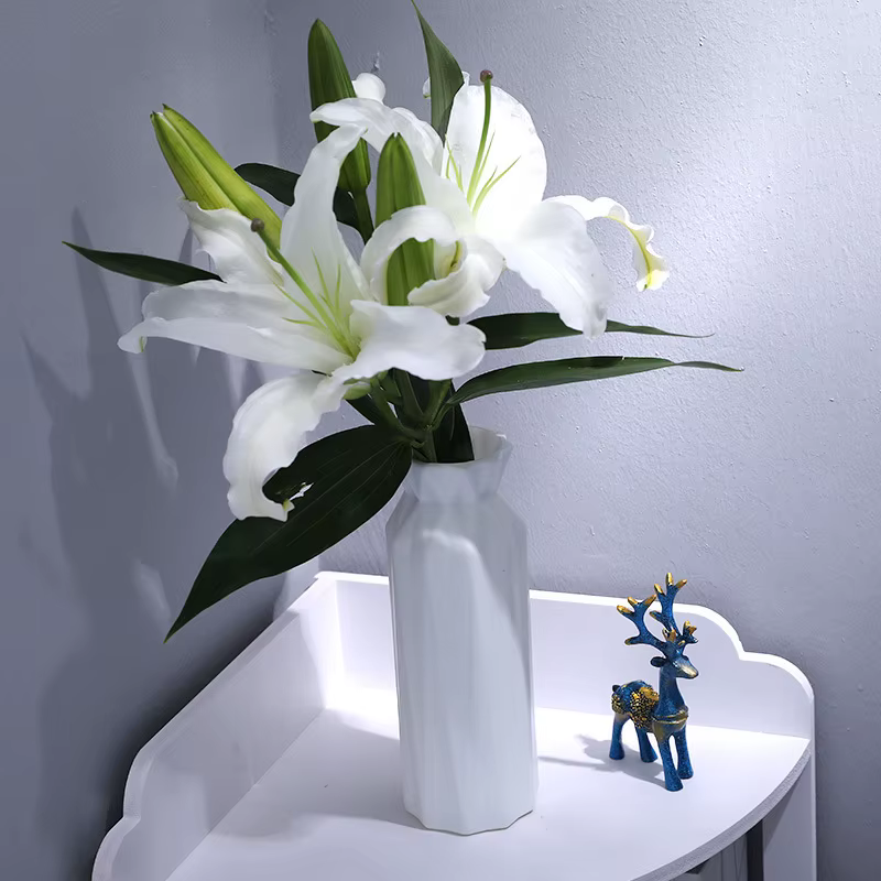 Vase en plastique pour décoration de fleurs séchées