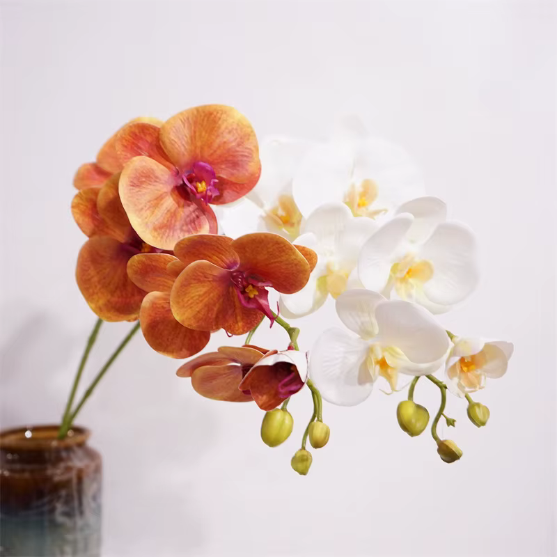 Orchidée Papillon au Toucher Réel
