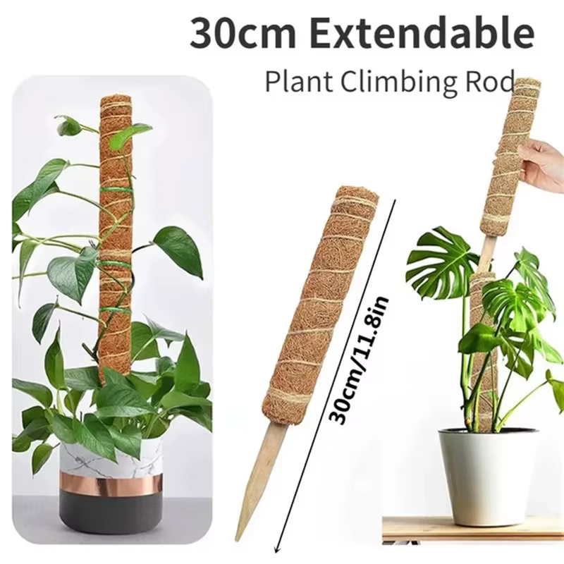 Échafaudage de plantes déformables