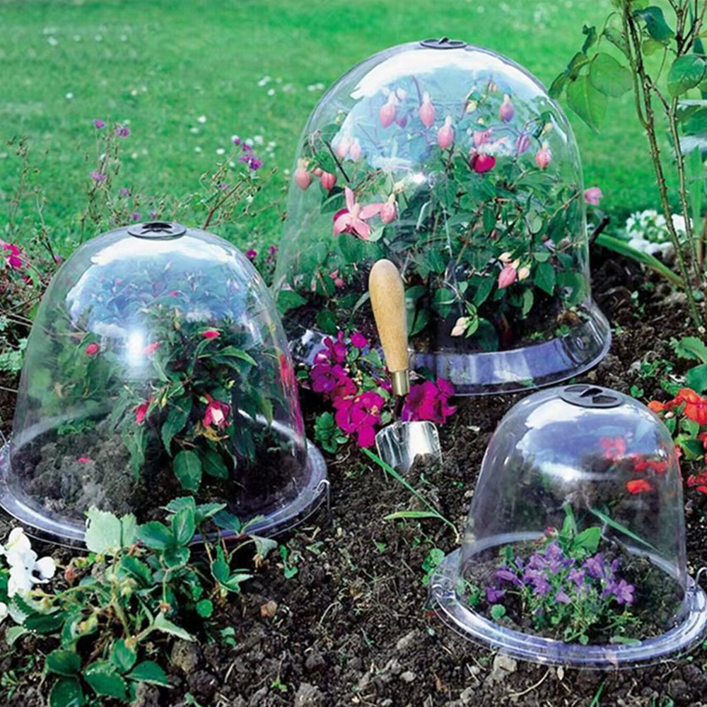 Cloche de protection des plantes réutilisable en plastique transparent