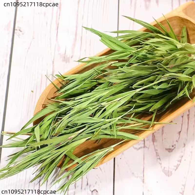 Légumes verts naturels de bambou de qualité supérieure pour centre de table de mariage