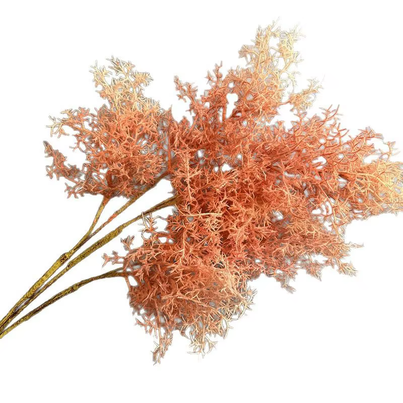 Plantes vertes enrichies de brume artificielle