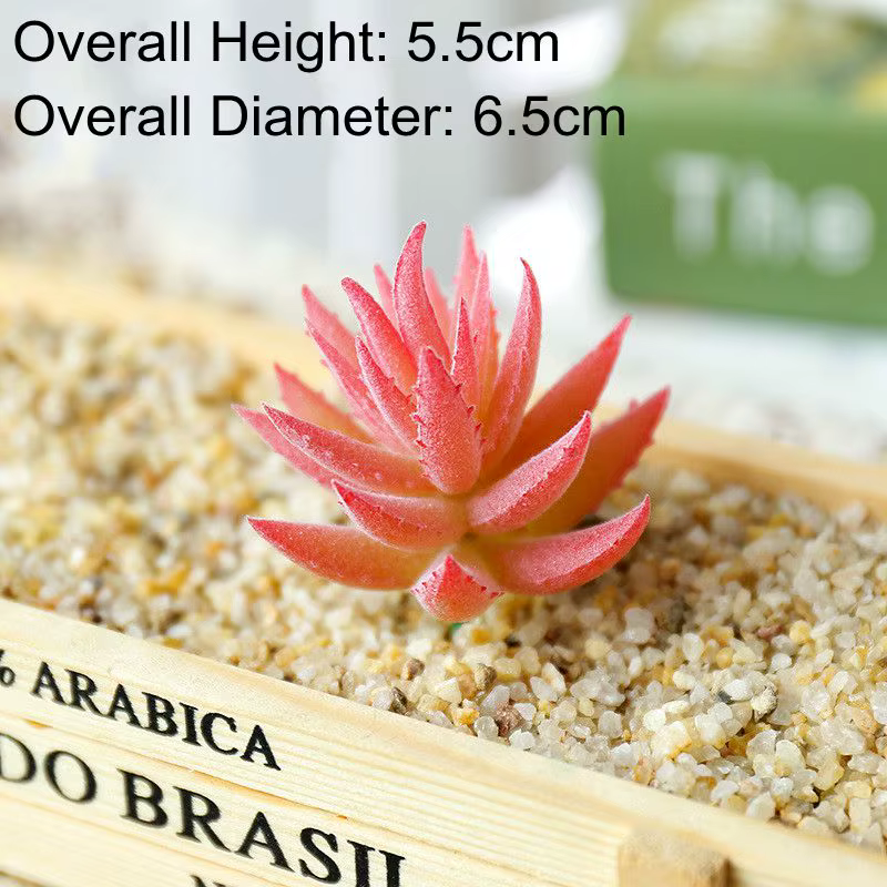 Mini plantes succulentes artificielles | Hauteur = 5.5cm diamètre = 6.5cm