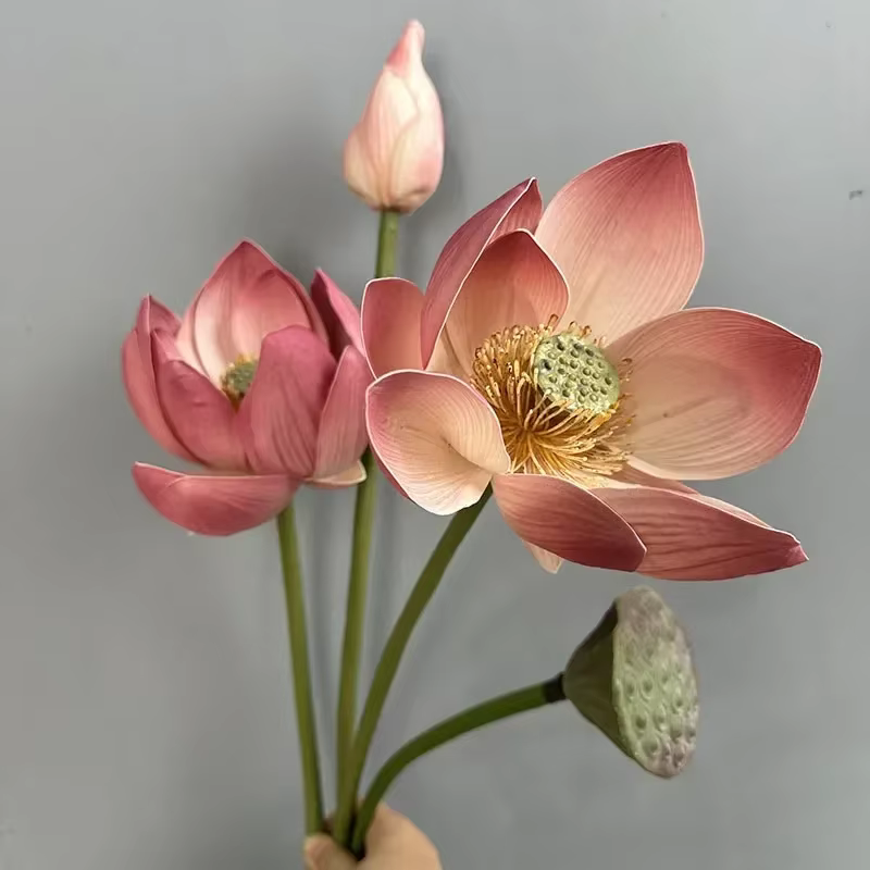 Simulation de bourgeon de Lotus en PU