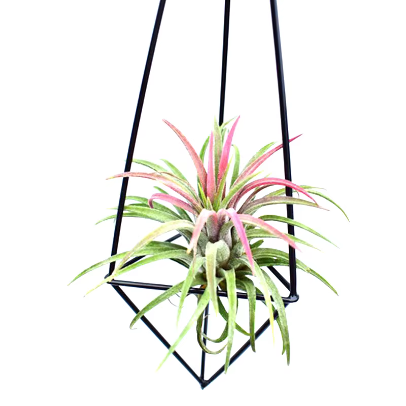 Porte-plante à air géométrique